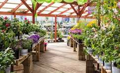  BEST NURSERY